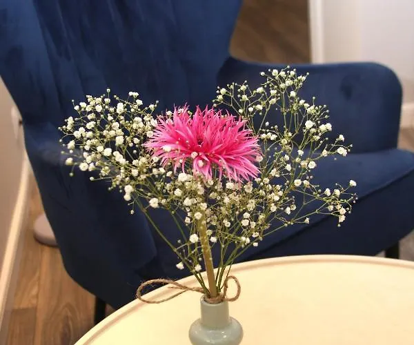 Apartman Przy Kladce *